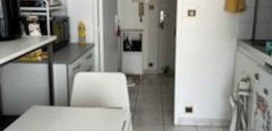Appartement – Studio – TOULOUSE – 600
