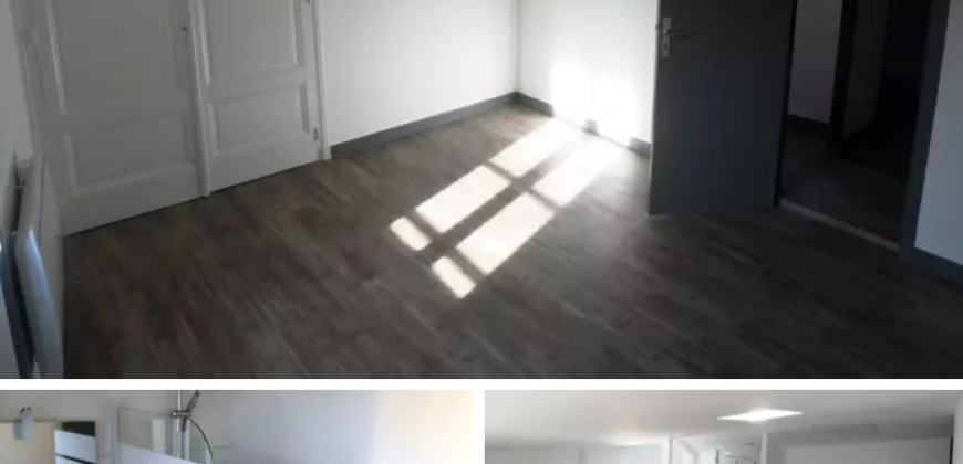 SAINT SYMPHORIEN D’OZON T4 110M² 1090€ CC
