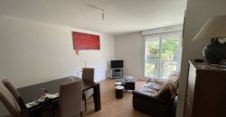 Appartement – T3 – TOULOUSE – 1150€ cc