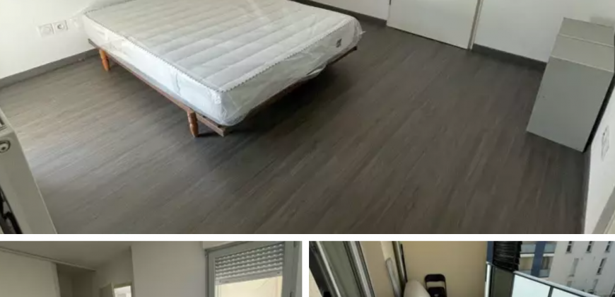 Appartement – T2 – TOULOUSE – 730€ CC