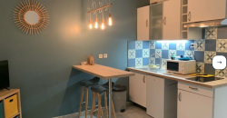 Appartement – Studio – VILLEURBANNE – 650€ cc
