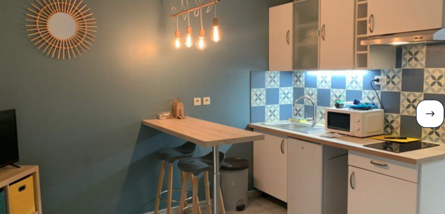 Appartement – Studio – VILLEURBANNE – 650€ cc