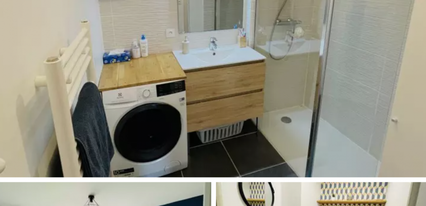 VILLEURBANNE A LOUER T3 de 67m² 1390€ cc avec Parking et Terasse