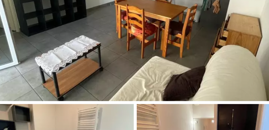 Appartement – T2 – TOULOUSE – 730€ CC