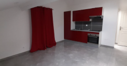 Appartement – T2 – LYON 2E ARRONDISSEMENT – 760€ cc avec jardin