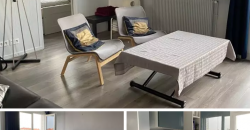 VILLEURBANNE Chambre 530€ cc