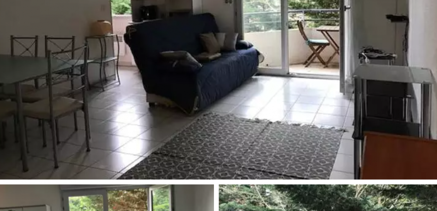 TOULOUSE T2 49m² 695€ cc