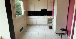 RILLEUX LA PAPE T3 75M² 920€ cc