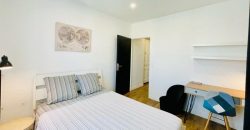 Appartement – Chambre – VILLEURBANNE – 550€