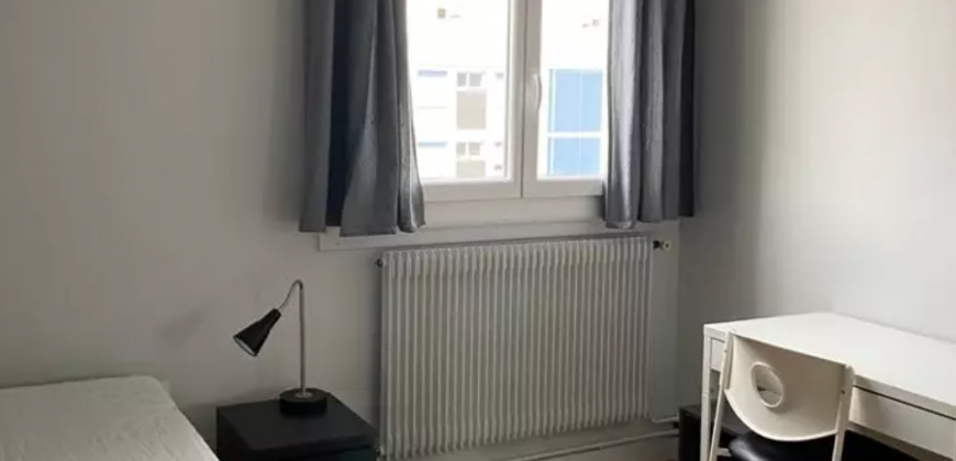 VILLEURBANNE Chambre 530€ cc