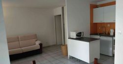 Appartement – T1 – TOULOUSE – 600€