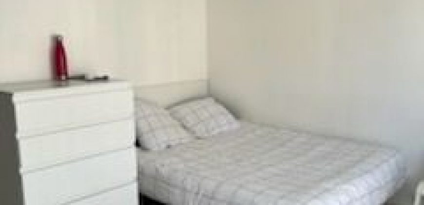 Appartement – Studio – TOULOUSE – 600