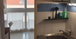 Appartement – T1 – TOULOUSE CAPITOLE – 590