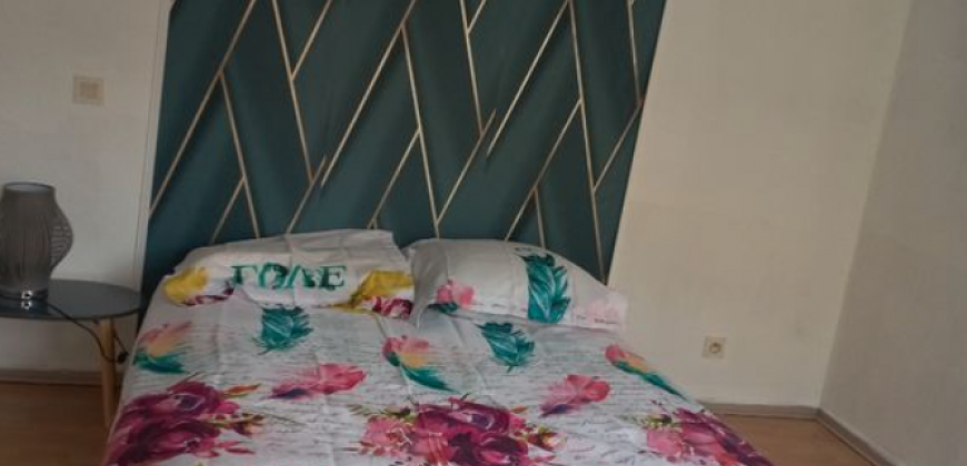 TOULOUSE T3 A LOUER DE 50 M2 940€ cc