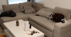 Appartement Chambre LYON 6E ARRONDISSEMENT 890€