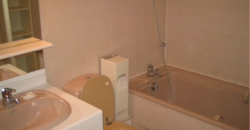 Appartement T1 VILLEURBANNE 785€