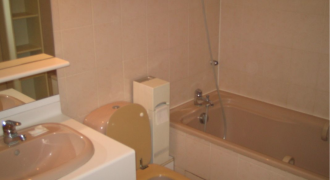 Appartement T1 VILLEURBANNE 785€