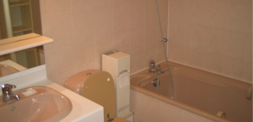 Appartement T1 VILLEURBANNE 785€