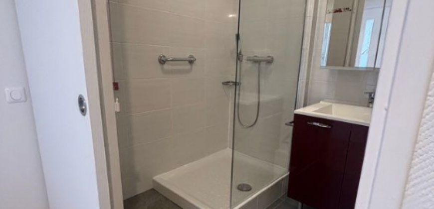 Appartement T2 LYON 7E ARRONDISSEMENT 1250€
