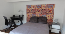TOULOUSE T2 -930€ cc