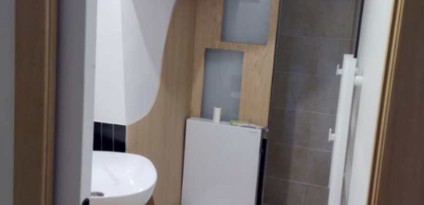 Appartement T1 PARIS 10E ARRONDISSEMENT 1518€
