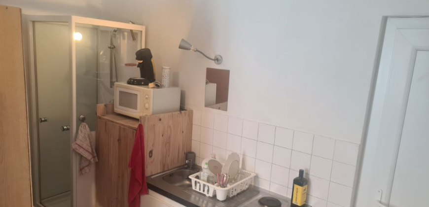 Appartement – Studio – LYON 9E ARRONDISSEMENT – 490