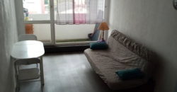 Appartement – Studio – VILLEURBANNE – 460