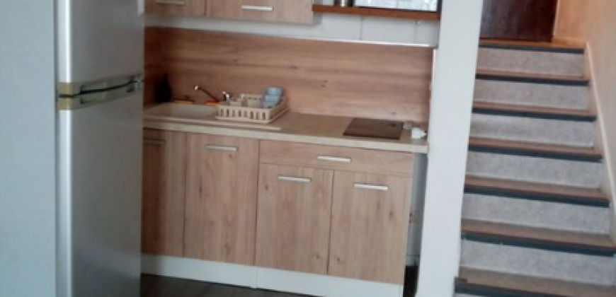 Appartement – Studio – VILLEURBANNE – 460