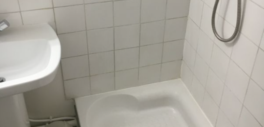 Appartement – T1 – TOULOUSE – 445