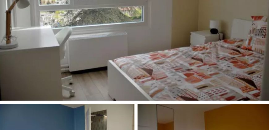 OULLINS-PIERRE-BÉNITE A LOUER Chambre 11m² 530 € cc avec balcon et parking