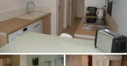 OULLINS-PIERRE-BÉNITE A LOUER Chambre 11m² 530 € cc avec balcon et parking
