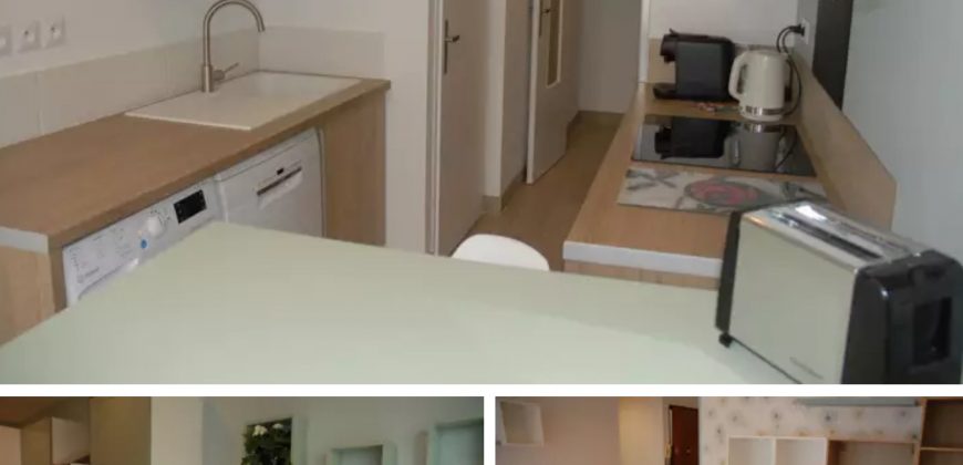 OULLINS-PIERRE-BÉNITE A LOUER Chambre 11m² 530 € cc avec balcon et parking