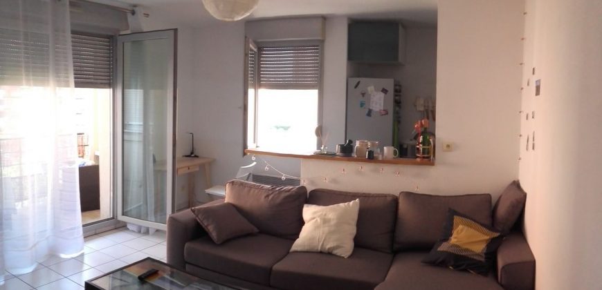 Appartement – T2 – TOULOUSE – 760€ QUARTIER FONTAINE