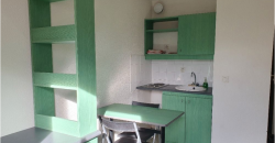 Appartement – T1 – LYON – 500