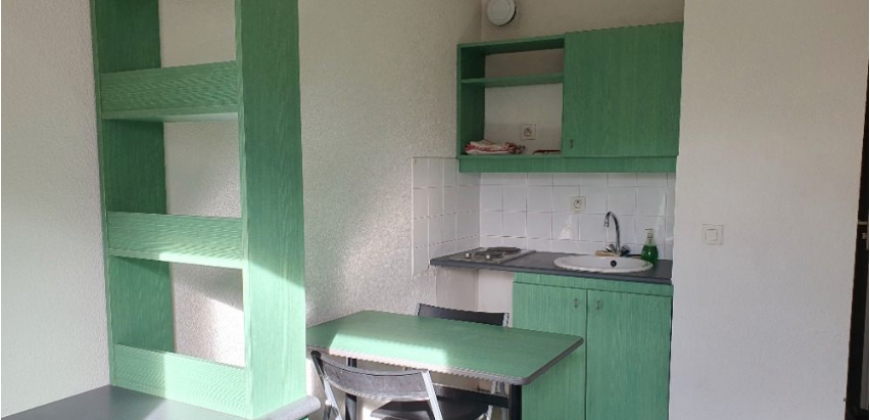 Appartement – T1 – LYON – 500