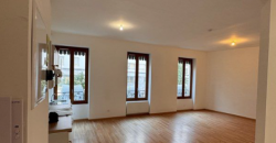 Appartement – T4 – VILLEURBANNE – 1150