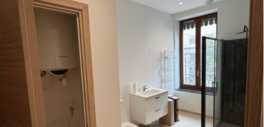 Appartement – T4 – VILLEURBANNE – 1150