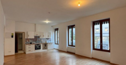 Appartement – T4 – VILLEURBANNE – 1150