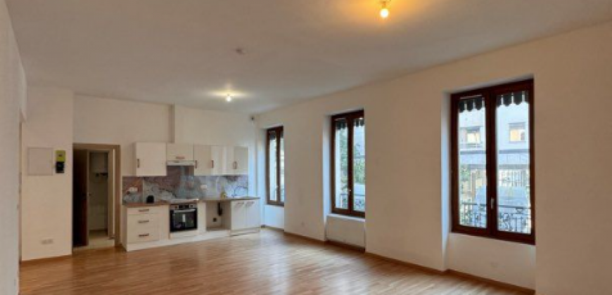 Appartement – T4 – VILLEURBANNE – 1150