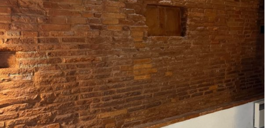 Appartement – Studio – TOULOUSE – 550