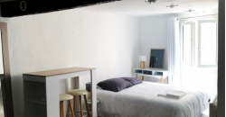 Appartement – T1 – TOULOUSE – 610