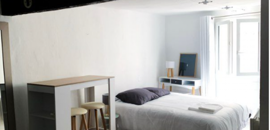 Appartement – T1 – TOULOUSE – 610