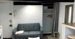 Appartement – T1 – TOULOUSE – 610