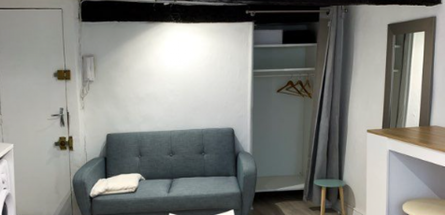 Appartement – T1 – TOULOUSE – 610