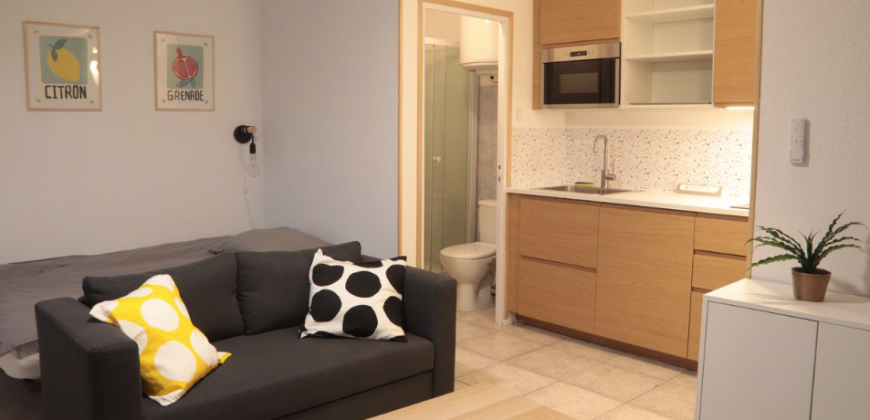 Appartement – T1 – TOULOUSE – 620