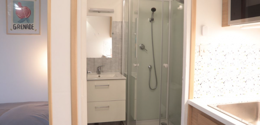 Appartement – T1 – TOULOUSE – 620