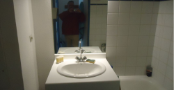 VILLEURBANNE – A LOUER Studio de 19m². Loyer: 435€