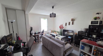 Appartement – T1 Bis – TOULOUSE – 535