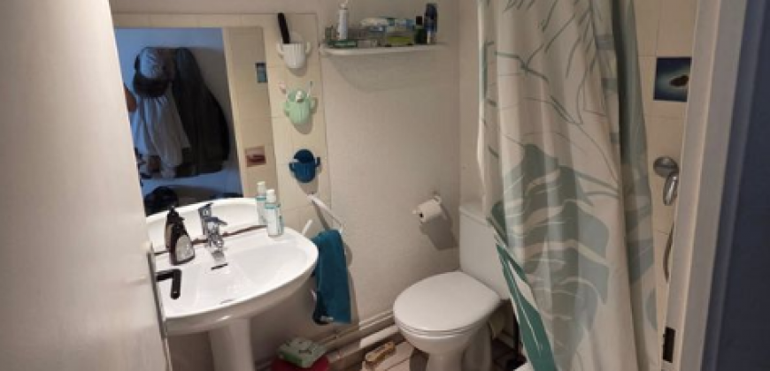 Appartement – T1 Bis – TOULOUSE – 535