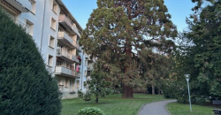 Appartement – T5 – TASSIN-LA-DEMI-LUNE – 1040